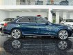 Mercedes-Benz C 250 2017 - Xe màu xanh lam