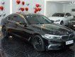 BMW 530i 2019 - Xe chạy 4v9 km
