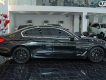 BMW 530i 2019 - Xe chạy 4v9 km