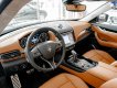 Maserati 2021 - Bao đậu bank 90%