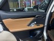 Lexus RX 300 2020 - Xe cọp
