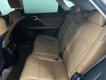 Lexus RX 300 2020 - Xe cọp