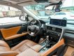 Lexus RX 450 2019 - Xe đi ở tỉnh còn cực mới