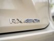 Lexus RX 450 2019 - Odo: 4,3 vạn km
