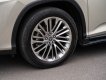 Lexus RX 450 2019 - Odo: 4,3 vạn km