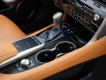 Lexus RX 450 2019 - Odo: 4,3 vạn km
