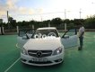 Mercedes-Benz C300 C300 AMG 2010 - C300 AMG