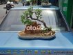 Toyota Camry  cổ phiên bản đặc biệt Fi 1983 - Camry cổ phiên bản đặc biệt Fi