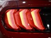 Ford Mustang 2022 - Xe mới 100% chưa lăn bánh