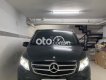 Mercedes-Benz V250 Mercedes V250 Anvantgarde 639/2 năm 2017 2017 - Mercedes V250 Anvantgarde 639/2 năm 2017