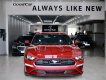 Ford Mustang 2022 - Xe mới 100% chưa lăn bánh