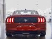 Ford Mustang 2022 - Xe mới 100% chưa lăn bánh