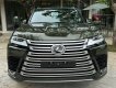 Lexus LX 600 2022 - Bản siêu siêu VIP, 4 chỗ
