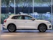 Audi Q5 2023 - Đủ màu, sẵn xe giao ngay