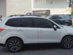 Subaru Forester 2017 - Subaru Forester 2017 tại Tp.HCM