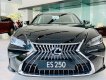 Lexus ES 250 2023 - Nhập khẩu chính hãng từ Nhật Bản