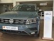 Volkswagen Tiguan Allspace Tiguan Xanh Petro LuxuryS 2023 - Bán xe Volkswagen Tiguan Allspace Tiguan Xanh Petro LuxuryS đời 2023, nhập khẩu