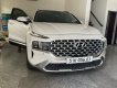 Hyundai Santa Fe 2021 - From 2022