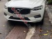 Hãng khác Khác 2019 - Bán xe Volvo XC60 2019