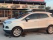 Ford EcoSport 2016 - Mẫu SUV 5 chỗ nhỏ gọn