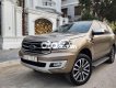Ford Everest EVERETS TITANIUM 2019 - EVERETS TITANIUM