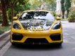 Porsche 718 r  Cayman Model 2021 - Xe Siêu Lướt 2021 - Porscher 718 Cayman Model 2021 - Xe Siêu Lướt