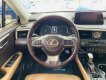 Lexus RX 300 2018 - Đăng kí lần đầu 2019, nhập khẩu Nhật Bản