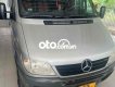 Mercedes-Benz Sprinter  16 chổ 2008 - sprinter 16 chổ