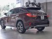 Lexus RX 300 2019 - Màu nâu / nội thất kem