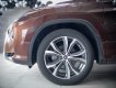 Lexus RX 300 2019 - Màu nâu / nội thất kem