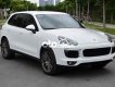 Porsche Cayenne   Platinum Edition model 2018 2017 - Porsche Cayenne Platinum Edition model 2018