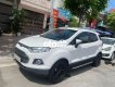 Ford EcoSport Xe chính chủ 2017 - Xe chính chủ