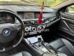 BMW 528i  528i dkld 2010 2010 - bmw 528i dkld 2010