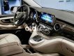 Mercedes-Benz V250 🔴Mercedes V250 AMG Đủ Màu - Nhập Khẩu Giao Ngay 2023 - 🔴Mercedes V250 AMG Đủ Màu - Nhập Khẩu Giao Ngay