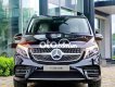 Mercedes-Benz V250 🔴Mercedes V250 AMG Đủ Màu - Nhập Khẩu Giao Ngay 2023 - 🔴Mercedes V250 AMG Đủ Màu - Nhập Khẩu Giao Ngay