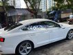 Audi A5   Sportback 2.0 TFSI 2018 Trắng nguyên Zing 2017 - Audi A5 Sportback 2.0 TFSI 2018 Trắng nguyên Zing