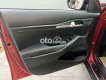Kia Seltos   1.4AT SX2020, 5 chỗ gầm cao 2020 - KIA SELTOS 1.4AT SX2020, 5 chỗ gầm cao