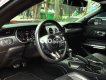 Ford Mustang   2.3 HighPerfomance 2020 2020 - Ford Mustang 2.3 HighPerfomance 2020
