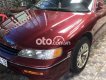 Honda Accord xe  1994 - xe accord