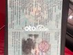 MG ZS   530tr 2020 - mg zs 530tr
