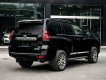 Toyota Land Cruiser Prado 2019 - Bên em hỗ trợ 70% giá trị xe