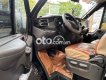 Ford Transit xe   16. chỗ 2021 - xe Ford transit 16. chỗ