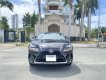 Lexus NX 300 2017 - Lexus NX 300 2017, màu đỏ, odo 65 vạn