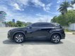 Lexus NX 300 2017 - Lexus NX 300 2017, màu đỏ, odo 65 vạn