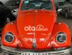 Volkswagen Beetle   1980 - volkswagen beetle