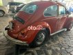 Volkswagen Beetle   1980 - volkswagen beetle