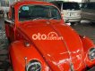 Volkswagen Beetle   1980 - volkswagen beetle