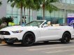 Ford Mustang   overtible EcoBoost 2015 2015 - Ford Mustang overtible EcoBoost 2015