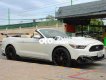 Ford Mustang   overtible EcoBoost 2015 2015 - Ford Mustang overtible EcoBoost 2015