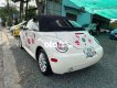 Volkswagen New Beetle  New Beetel 2005  bản New 2005 - Volkswagen New Beetel 2005 mui trần bản New